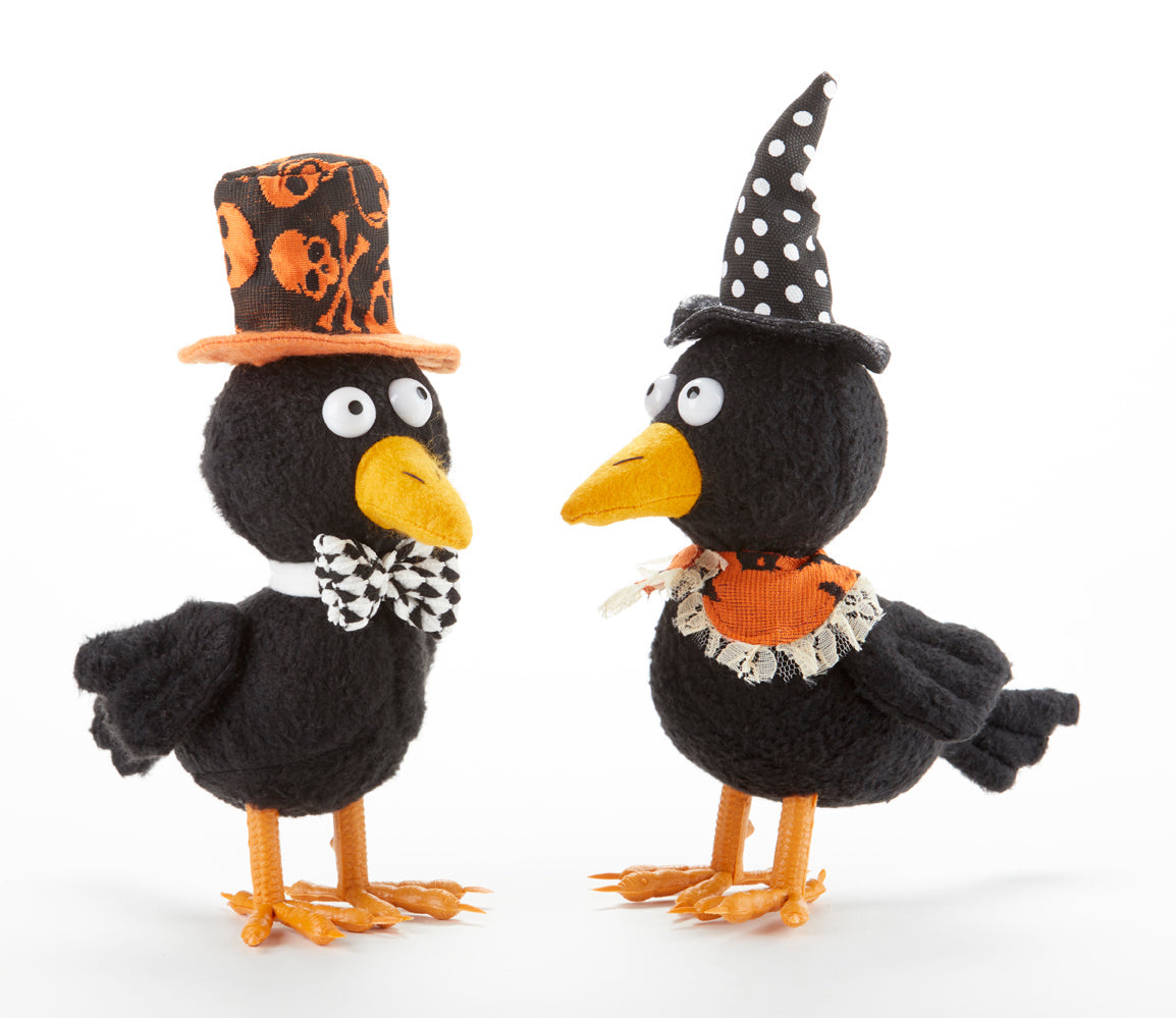 Freaky Crow