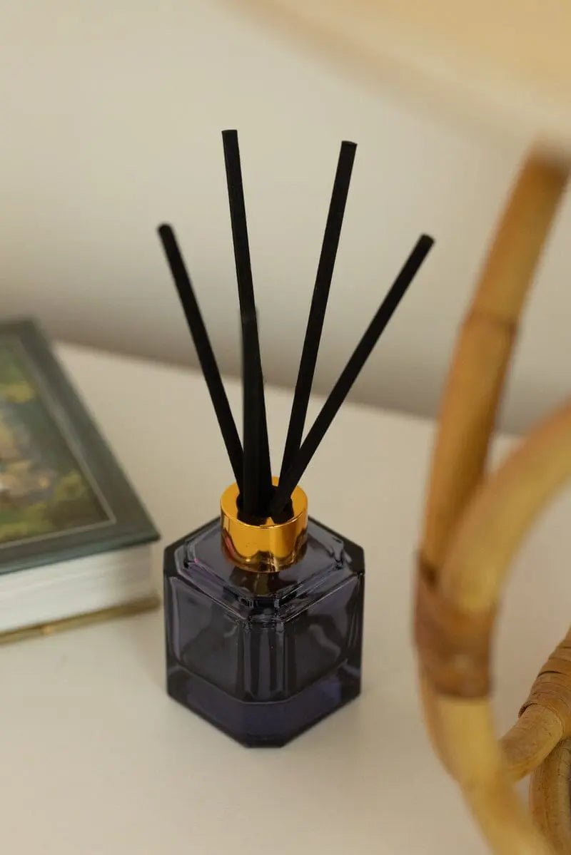 Sea Salt + Amber - Botanica Diffuser 2.88 oz