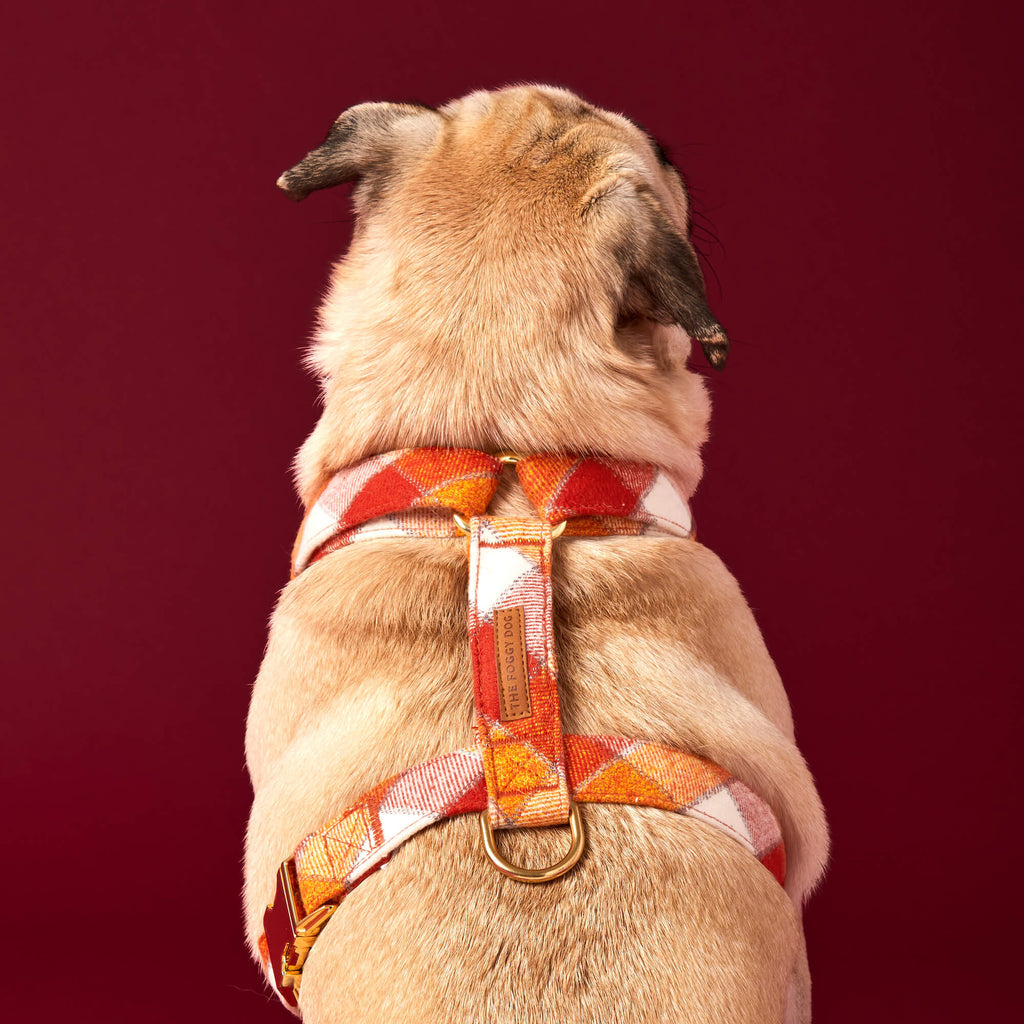 Pumpkin Spice Plaid Flannel Dog Harness