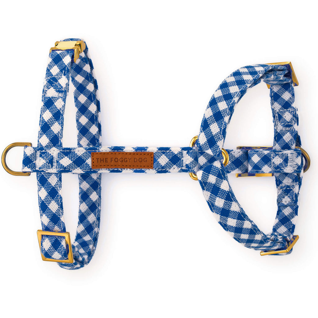 Lake Blue Gingham Dog Harness