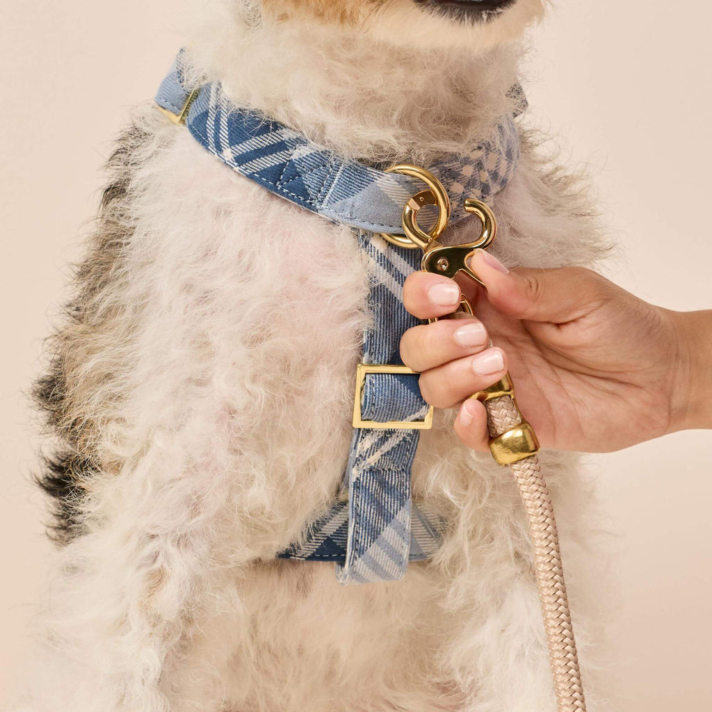 Hawthorne Plaid Flannel Dog Harness