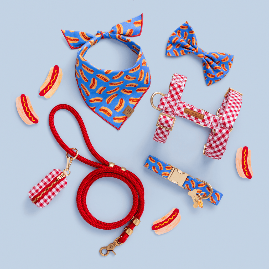 Red Gingham Dog Harness