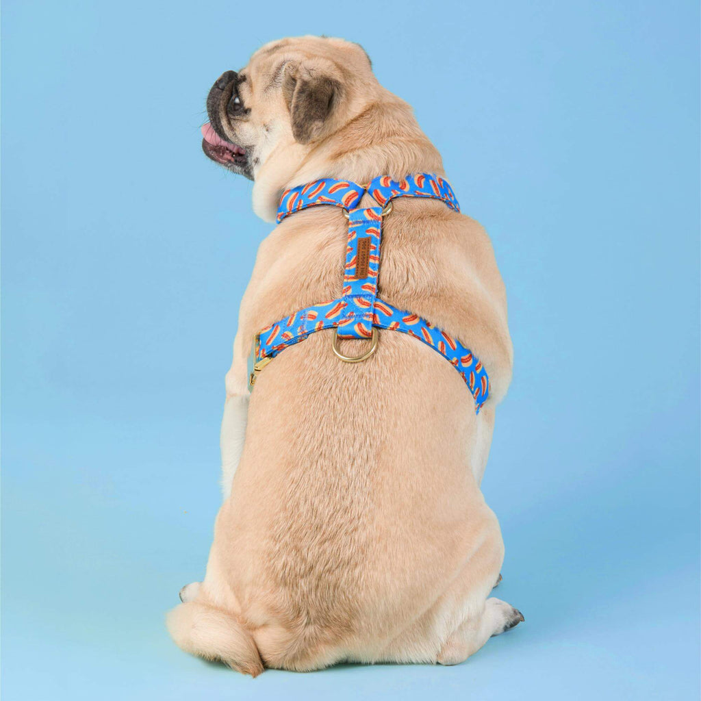 Hot Diggity Dog Harness