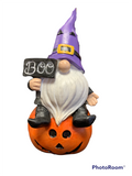 Halloween Gnome on Pumpkin