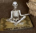 Miniature Yoga Skeleton