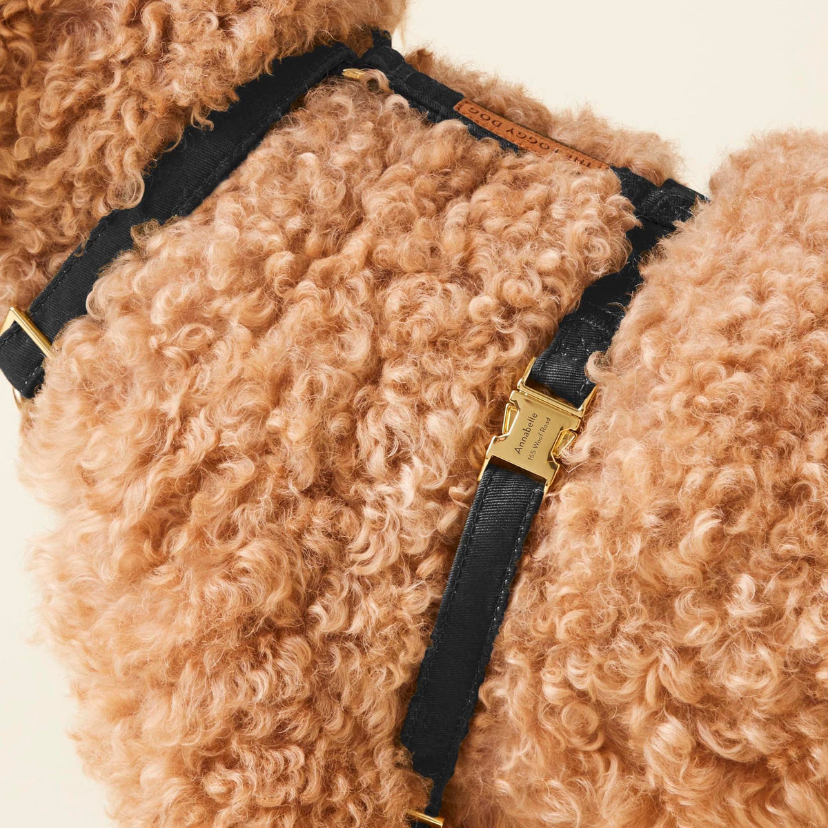 Onyx Dog Harness