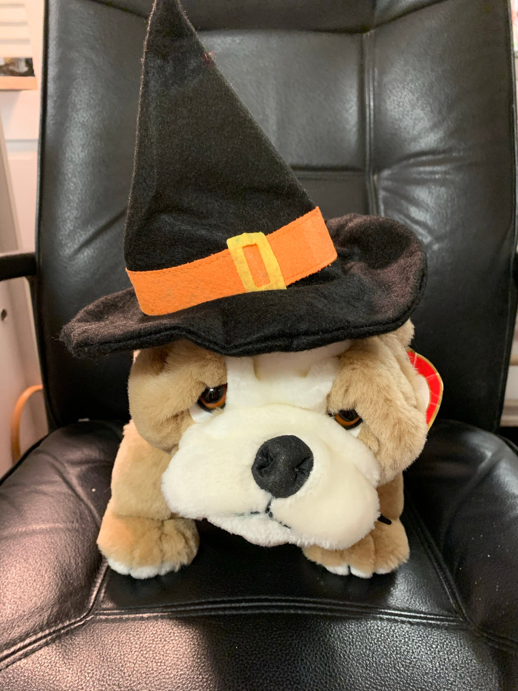 Pet Witch Hat