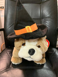 Pet Witch Hat